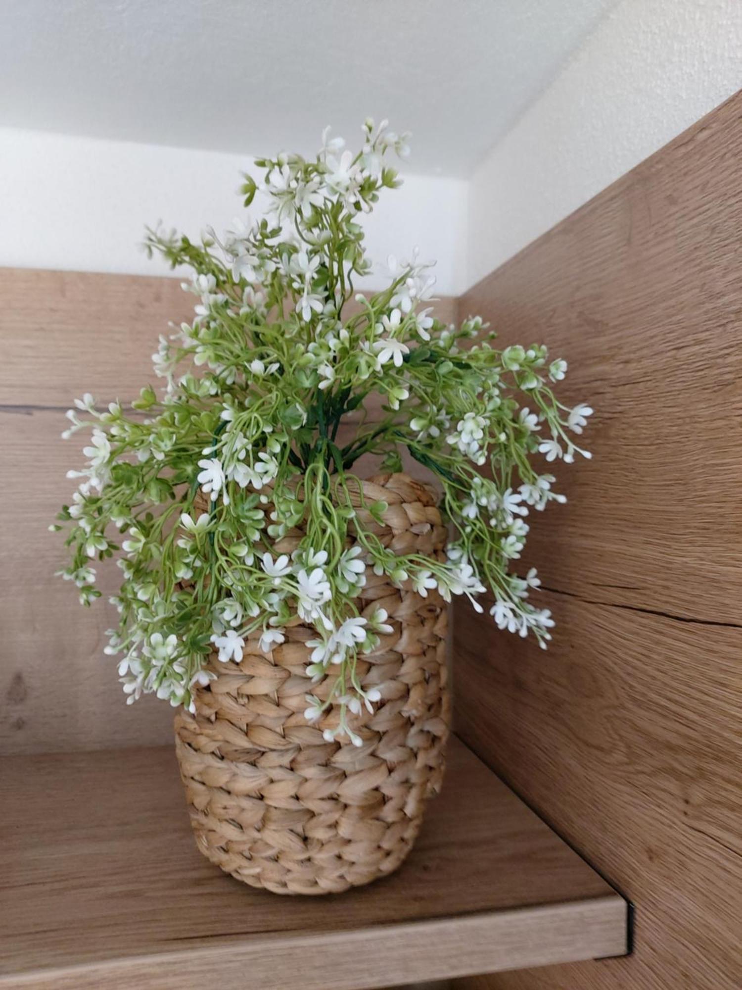 Albi Haus Apartamento *